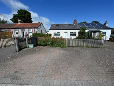 Picture 21